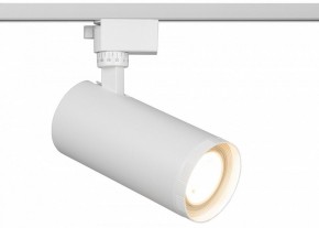 Светильник на штанге Эра  TR59 - 3030 WH в Качканаре - kachkanar.ok-mebel.com | фото