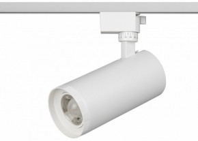 Светильник на штанге Эра  TR59 - 3030 WH в Качканаре - kachkanar.ok-mebel.com | фото 2