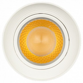 Светильник на штанге Эра  TR59 - 3030 WH в Качканаре - kachkanar.ok-mebel.com | фото 3