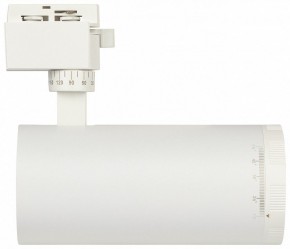 Светильник на штанге Эра  TR59 - 3030 WH в Качканаре - kachkanar.ok-mebel.com | фото 4