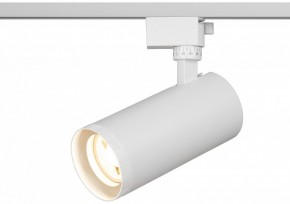 Светильник на штанге Эра  TR59 - 3030 WH в Качканаре - kachkanar.ok-mebel.com | фото 5