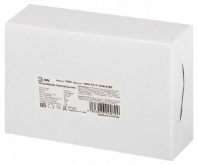 Светильник на штанге Эра  TRM-S5-3-12W4K-BK в Качканаре - kachkanar.ok-mebel.com | фото 8