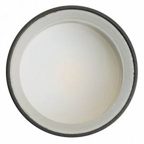 Светильник на штанге Feron ML1001 51371 в Качканаре - kachkanar.ok-mebel.com | фото 4