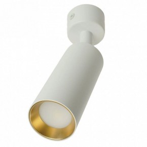 Светильник на штанге Feron ML1011 51380 в Качканаре - kachkanar.ok-mebel.com | фото 9