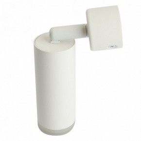 Светильник на штанге Feron ML1021 51390 в Качканаре - kachkanar.ok-mebel.com | фото 3