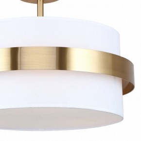 Светильник на штанге Freya Bride FR5367CL-03BS в Качканаре - kachkanar.ok-mebel.com | фото 3