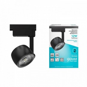 Светильник на штанге Gauss Track Light TR053 в Качканаре - kachkanar.ok-mebel.com | фото 3