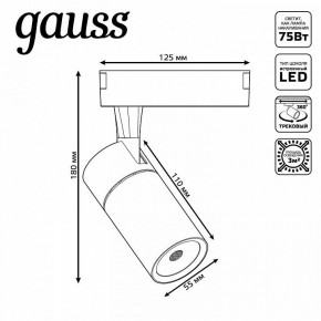 Светильник на штанге Gauss Track Light TR059 в Качканаре - kachkanar.ok-mebel.com | фото 6