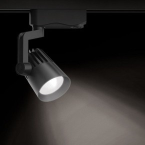 Светильник на штанге Gauss Track Light TR061 в Качканаре - kachkanar.ok-mebel.com | фото 2