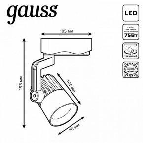 Светильник на штанге Gauss Track Light TR061 в Качканаре - kachkanar.ok-mebel.com | фото 6
