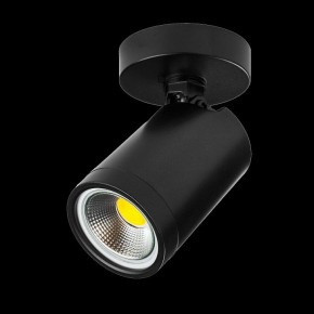 Светильник на штанге Lightstar Rullo 213407 в Качканаре - kachkanar.ok-mebel.com | фото 2