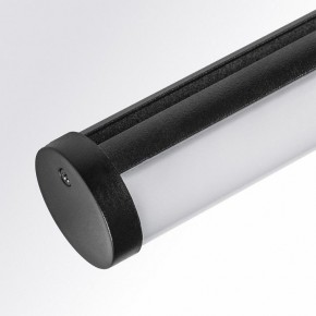 Светильник на штанге Lightstar Teta 205607 в Качканаре - kachkanar.ok-mebel.com | фото 3