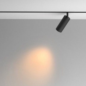 Светильник на штанге Maytoni Artisan TR097-2-12W2.7K-M-BB в Качканаре - kachkanar.ok-mebel.com | фото 4