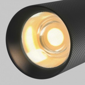 Светильник на штанге Maytoni Artisan TR097-2-12W2.7K-M-BB в Качканаре - kachkanar.ok-mebel.com | фото 9