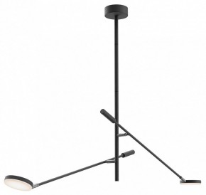 Светильник на штанге Maytoni Fad MOD070CL-L15B3K1 в Качканаре - kachkanar.ok-mebel.com | фото
