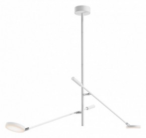 Светильник на штанге Maytoni Fad MOD070CL-L15W3K1 в Качканаре - kachkanar.ok-mebel.com | фото