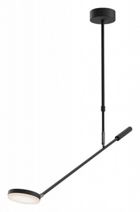 Светильник на штанге Maytoni Fad MOD070CL-L8B3K в Качканаре - kachkanar.ok-mebel.com | фото