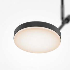 Светильник на штанге Maytoni Fad MOD070CL-L8B3K в Качканаре - kachkanar.ok-mebel.com | фото 4