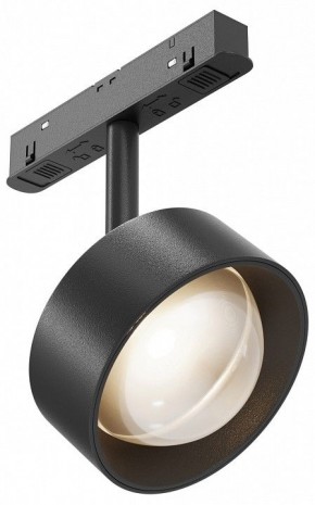 Светильник на штанге Maytoni Lens TR217-2-15W3K-B в Качканаре - kachkanar.ok-mebel.com | фото