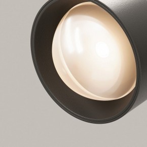 Светильник на штанге Maytoni Lens TR217-2-15W3K-B в Качканаре - kachkanar.ok-mebel.com | фото 12