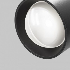 Светильник на штанге Maytoni Lens TR217-2-15W4K-B в Качканаре - kachkanar.ok-mebel.com | фото 10