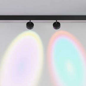 Светильник на штанге Maytoni Lens TR217-2-15W4K-B в Качканаре - kachkanar.ok-mebel.com | фото 6