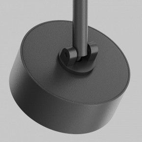 Светильник на штанге Maytoni Lens TR217-4-15WTW-DD-B в Качканаре - kachkanar.ok-mebel.com | фото 11