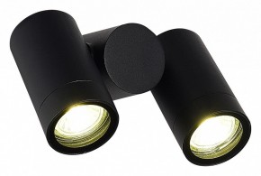 Светильник на штанге ST-Luce Ecollo SL9011.402.02 в Качканаре - kachkanar.ok-mebel.com | фото 3