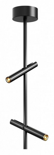 Светильник на штанге ST-Luce LILT SL6210.403.02 в Качканаре - kachkanar.ok-mebel.com | фото