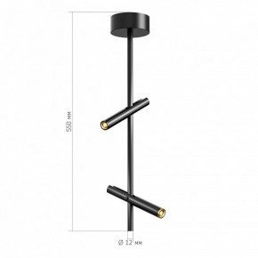 Светильник на штанге ST-Luce LILT SL6210.403.02 в Качканаре - kachkanar.ok-mebel.com | фото 3