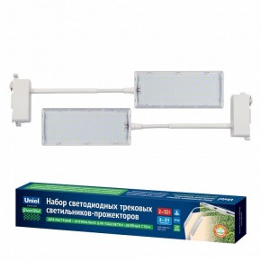 Светильник на штанге Uniel ULB-P37 UL-00012578 в Качканаре - kachkanar.ok-mebel.com | фото 2