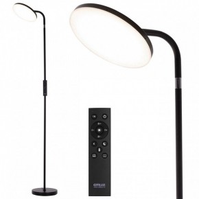 Торшер Citilux SOLO CL804061 в Качканаре - kachkanar.ok-mebel.com | фото 2