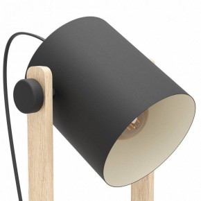 Торшер Eglo HORNWOOD 43521 в Качканаре - kachkanar.ok-mebel.com | фото 4