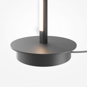 Торшер Maytoni Thin MOD395FL-L28B3K в Качканаре - kachkanar.ok-mebel.com | фото 8