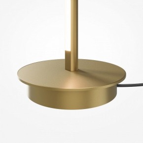Торшер Maytoni Thin MOD395FL-L28BS3K в Качканаре - kachkanar.ok-mebel.com | фото 7