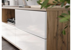 Тумба под ТВ Маллоу в Качканаре - kachkanar.ok-mebel.com | фото 4