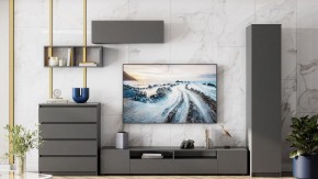 Тумба под ТВ Сибити в Качканаре - kachkanar.ok-mebel.com | фото 3