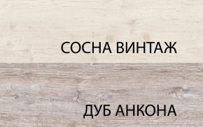 Тумба RTV 1D2SN, MONAKO, цвет Сосна винтаж/дуб анкона в Качканаре - kachkanar.ok-mebel.com | фото 3