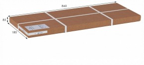 Вешалка гардеробная Стойка высокая в Качканаре - kachkanar.ok-mebel.com | фото 9
