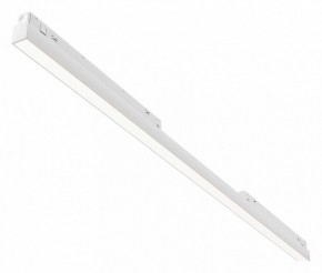 Встраиваемый светильник Maytoni Basis TR030-4-30WTW-DD2-W в Качканаре - kachkanar.ok-mebel.com | фото