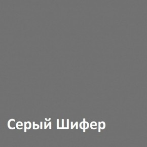 Юнона Шкаф торцевой 13.221 в Качканаре - kachkanar.ok-mebel.com | фото 2